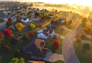 Sunny Neighborhood